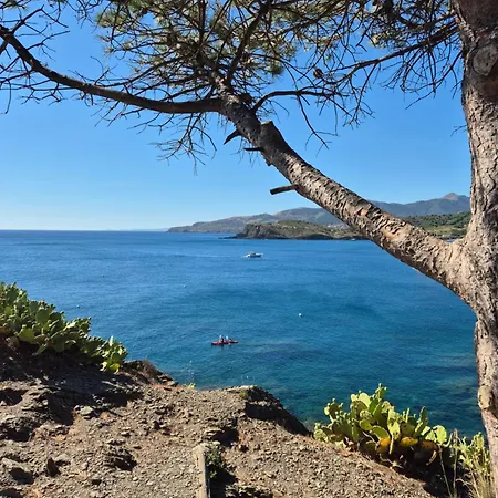 La Cigale Daire Port Vendres